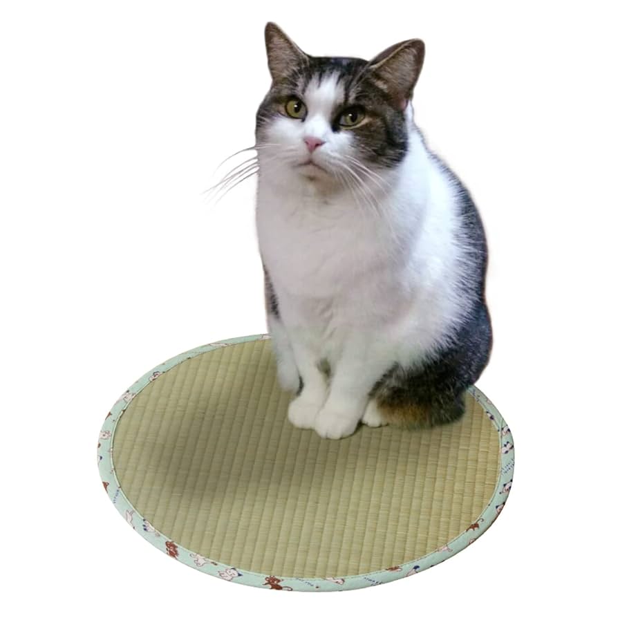 ねこにゃん 8280_1_expand.jpg